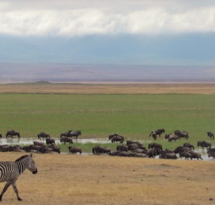 Ngorongoro Crater